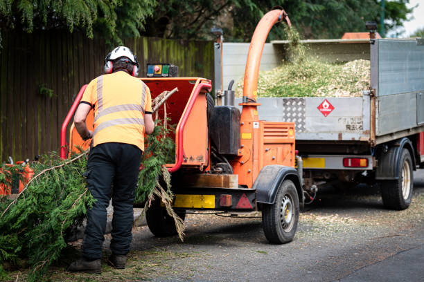 Artificial Turf Installation